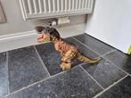 Elektronische T-Rex Dino (bewegend + geluid), Kinderen en Baby's, Ophalen of Verzenden, Gebruikt, Complete set