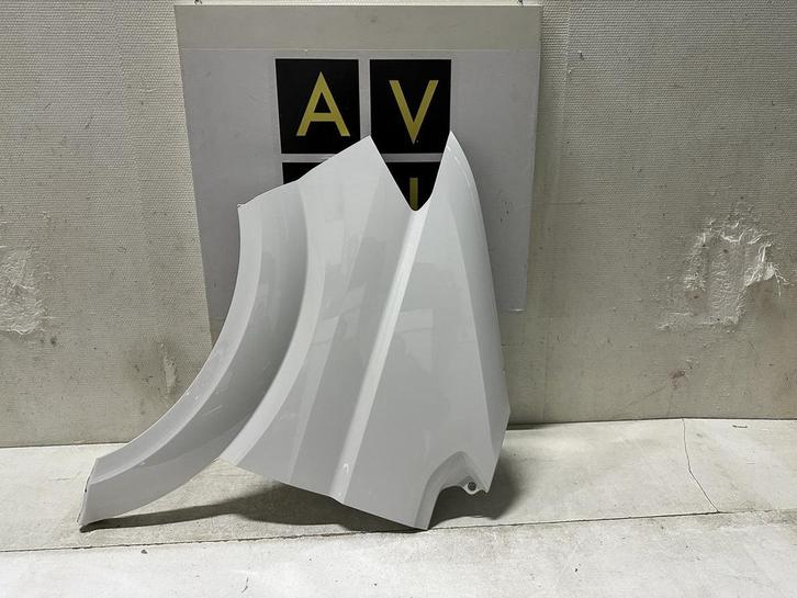 Man TGE Crafter II 7C0 Voorscherm spatnord links, Auto-onderdelen, Carrosserie, Spatbord, Volkswagen, Gebruikt, Ophalen of Verzenden