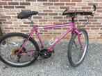 Montenbike heren, Fietsen en Brommers, Gebruikt, Meer dan 20 versnellingen, 65 cm of meer, Ophalen