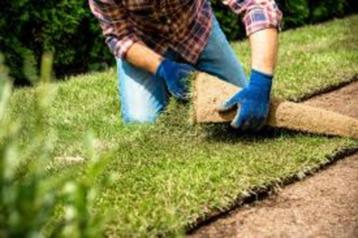 Tuinman, tegelzetter, grasmatten 4 man uren nu 125,- euro beschikbaar voor biedingen