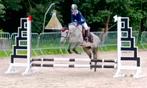 Brave C pony, Dieren en Toebehoren, Merrie