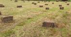hooi, Dieren en Toebehoren, Ophalen
