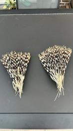 Lampenkap van stekelvarken, Ophalen, Afrikaanse lodge, Crème, 25 tot 50 cm