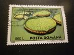Roemenië/Roumanie 1995 Mi 5133(o) Gestempeld/Oblitéré, Timbres & Monnaies, Timbres | Europe | Autre, Envoi