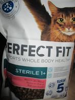 kattenbrokken, Ophalen of Verzenden, Kat