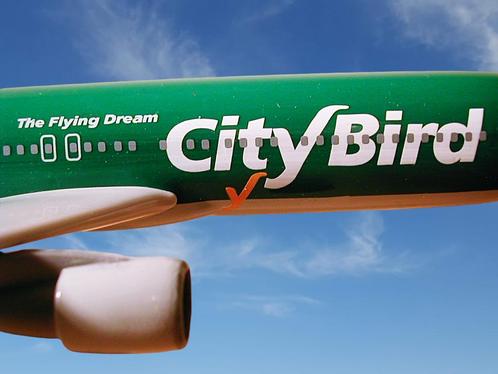 City Bird Scale 1-200 model Boeing B767-300 OO-CTQ Falcon, Verzamelen, Luchtvaart en Vliegtuigspotten, Nieuw, Ophalen of Verzenden