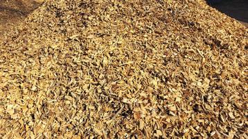 hakselhout/ houtchips beschikbaar voor biedingen