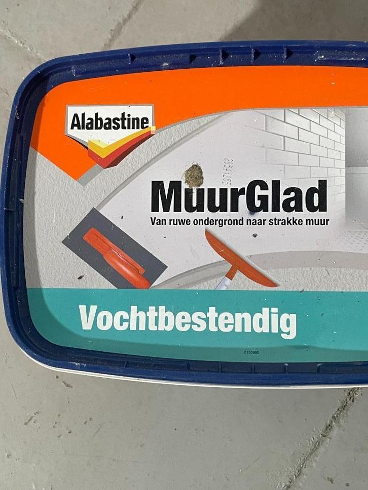 Muurglad Alabastine vochtbestendig, Doe-het-zelf en Bouw, Verf, Beits en Lak, Nieuw, 5 tot 10 liter, Ophalen of Verzenden