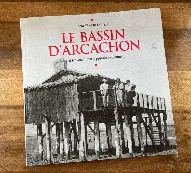 Livre le Bassin d'Arcachon, Boeken, Kunst en Cultuur | Architectuur, Zo goed als nieuw, Ophalen of Verzenden