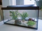 Aquarium Tetra Starter Line met ALLE toebehoren en extra's, Ophalen, Gebruikt