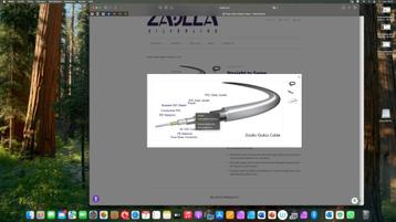 Zaolla Silverline Guitar Cables +Laney akoe gitaarversterker beschikbaar voor biedingen