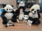 Panda's, Kinderen en Baby's, Speelgoed | Knuffels en Pluche, Ophalen, Zo goed als nieuw, Beer