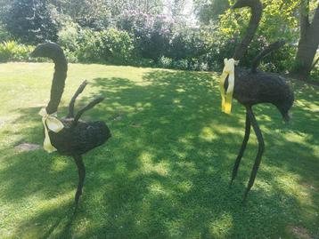 Siervogels voor in tuin beschikbaar voor biedingen