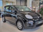 Fiat Panda Hybrid, Autos, Fiat, Vitres électriques, Berline, Noir, Panda