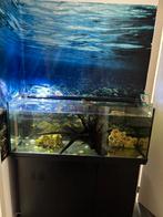 Aquarium en toebehoren, Dieren en Toebehoren, Ophalen, Gebruikt