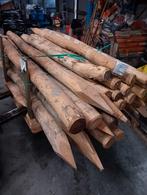 Acaciapaal Ø 12-14 x 250 cm UITVERKOOP, Ophalen, Palen