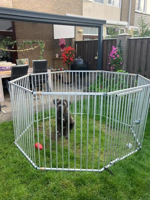 Puppyren Hondenren Puppy Play Aluminium - Diverse Maten, Dieren en Toebehoren, Honden-accessoires, Nieuw, Ophalen of Verzenden