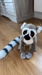 knuffel wasbeer, Ophalen, Nieuw, Overige typen