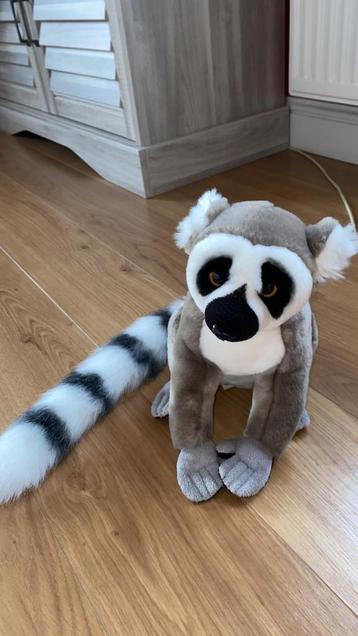 knuffel wasbeer beschikbaar voor biedingen