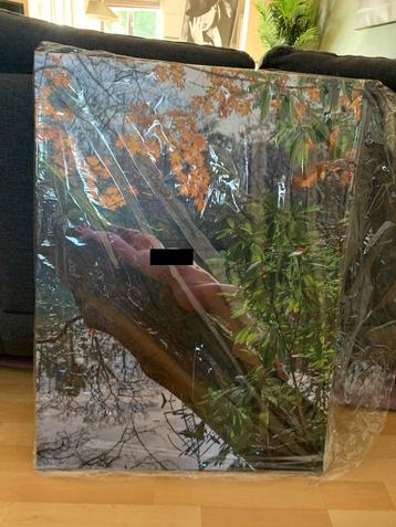 Smaakvol naakt met herfstkleuren  beschikbaar voor biedingen