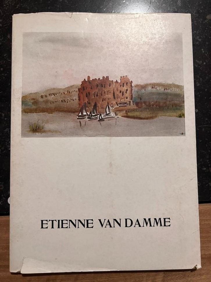 Etienne Van Damme - Roger Geerts *Kunstmonografie*, Boeken, Kunst en Cultuur | Beeldend, Gelezen, Schilder- en Tekenkunst, Ophalen of Verzenden