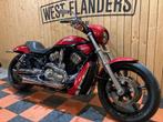 Harley-Davidson Night Rod (bj 2006), Motoren, Motoren | Harley-Davidson, Bedrijf, Meer dan 35 kW, Overig, 1131 cc