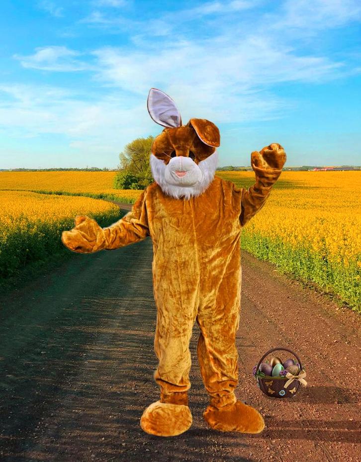 Paashaaskostuum TE HUUR, Divers, Pâques, Utilisé, Enlèvement