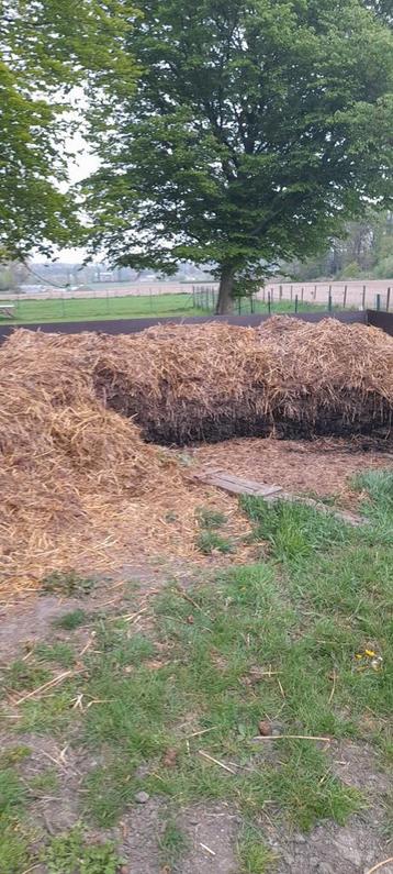 Gratis paardenmest., Tuin en Terras, Aarde en Mest, Ophalen of Verzenden