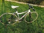 Ridley Tempo. Dames sportfiets. Maat 48, Fietsen en Brommers, 28 inch, 47 tot 50 cm, Nieuw, Ophalen of Verzenden