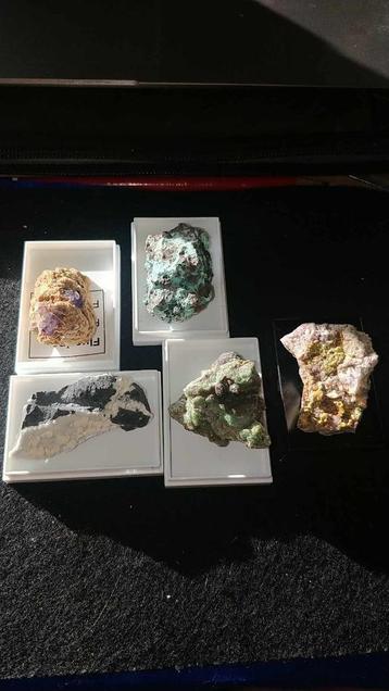 5 top mineralen