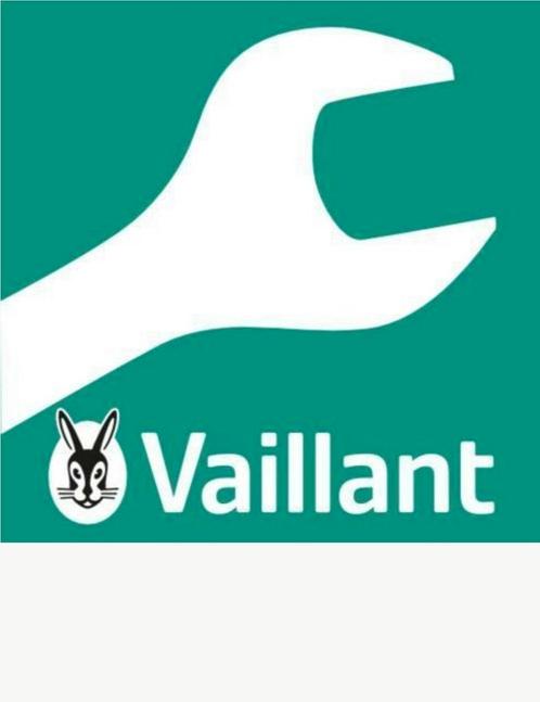 Reparatie Spécialiste Bulex / Spécialiste Vaillant, Verzamelen, Overige Verzamelen, Nieuw