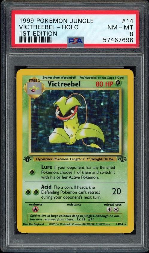 Victreebel Holo 1st Edition PSA 8 - 14/64 - Jungle 1999, Hobby en Vrije tijd, Verzamelkaartspellen | Pokémon, Zo goed als nieuw