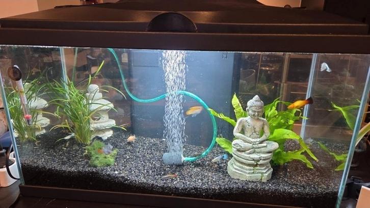 Aquarium Juwel avec pompe et chauffage, Dieren en Toebehoren, Vissen | Aquaria en Toebehoren, Gebruikt, Overige typen, Ophalen