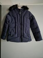 Nieuwe winterjas voor meisjes van Cars Jeans maat 140, Kinderen en Baby's, Meisje, Nieuw, Ophalen of Verzenden, Cars Jeans
