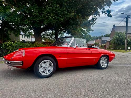 Alfa romeo duetto 1750 d’origine, Auto's, Oldtimers, Particulier, Alfa Romeo, Ophalen