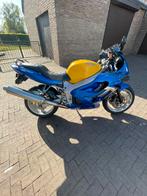 Triumph-motorfiets, Motoren, Particulier