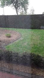Iemand om haag te snoeien, Ophalen