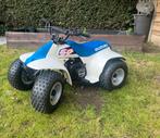 Suzuki LT50 Quad – Ideaal vanaf 5 jaar, Motoren