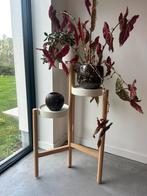 Plantenstandaard IKEA - SATSUMAS 78cm, Ophalen