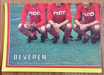 Panini Football 75 nr 89 Team Beveren ongebruikt! beschikbaar voor biedingen