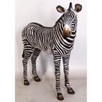 Zebra Veulen beeld - Hoogte 110 cm, Verzamelen, Dierenverzamelingen, Ophalen, Nieuw