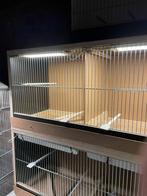 Te koop kweek kooien genaakt uit betonplexplaat van 2 cn dik, Dieren en Toebehoren