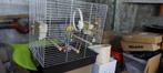 Mooie kooi voor grote vogels, Ophalen of Verzenden, Zo goed als nieuw