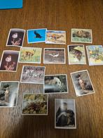 Panini wwf, Collections, Enlèvement