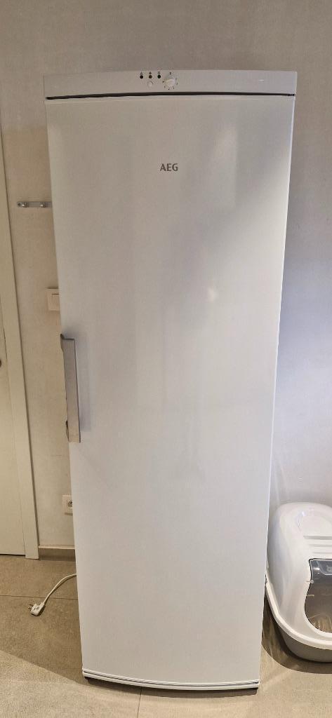 Aeg diepvries no frost, Elektronische apparatuur, Vriezers en Diepvrieskisten, Gebruikt, Vrijstaand, Vrieskast, 160 cm of meer