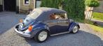 Cox cabriolet 1969, Achat, Cabriolet, Coccinelle, 2 portes