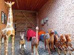 Houten dieren, kermis, decoratie, Ophalen, Gebruikt