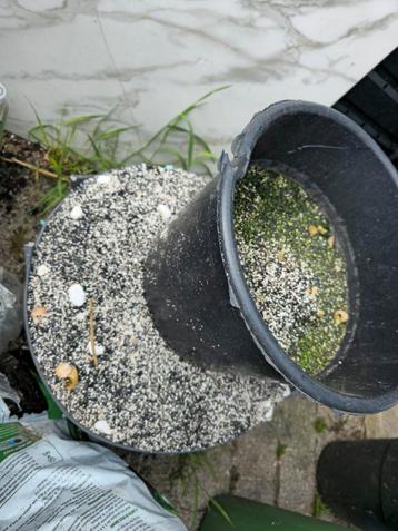 Grind voor aquarium of vijver - uit te spoelen, Ophalen, Gebruikt, Grind, Zand of Voedingsbodem
