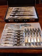 Messenset Solingen in diplomatenkoffer, Ophalen of Verzenden, Nieuw, Bestekset, Vaatwasserbestendig