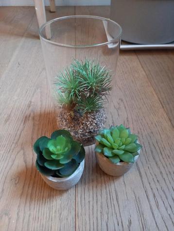 Kunstplantjes beschikbaar voor biedingen